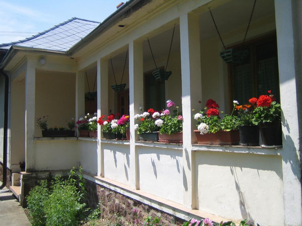 Almafas Vendeghaz Orseg Villa Kerkakutas Luaran gambar